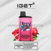 IGET Bar Pro 10000 Puffs Raspberry Pomegranate Ice Blast