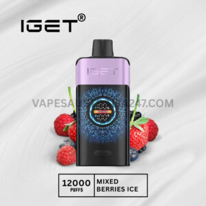 IGET One 12000 Puffs Berries Ice