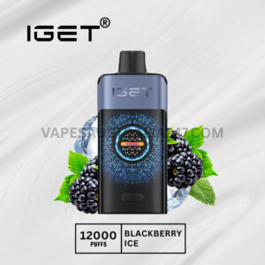 IGET One 12000 Puffs Blackberry Ice