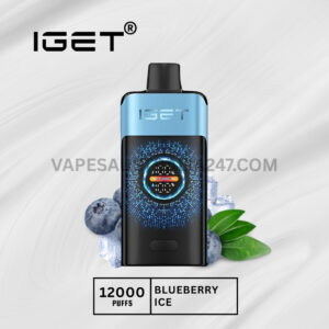 IGET One 12000 Puffs Blueberry Ice