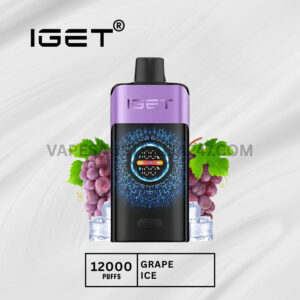 IGET One 12000 Puffs Grape Ice