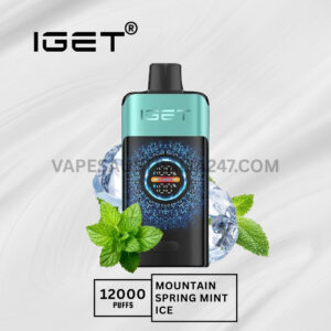 IGET One 12000 Puffs Mountainspring Mint Ice