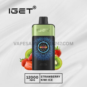 IGET One 12000 Puffs Strawberry Kiwi Ice