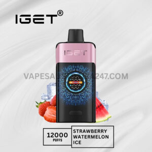 IGET One 12000 Puffs Strawberry Watermelon Ice