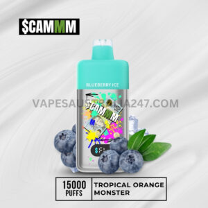 $CAMM AS 15000 Puffs Blueberry Ice