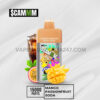 $CAMM AS 15000 Puffs Mango Passion Fruit Soda